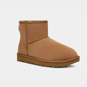 Classic Mini II Boot Women 6 Chestnut - UGG